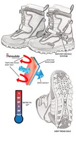 Comp / Оранжевый