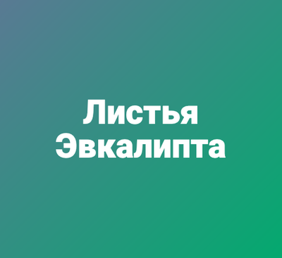 Листья Эвкалипта
