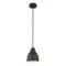 Подвесной светильник Arte Lamp BRACCIO A2054SP-1BK