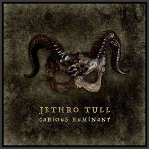 Jethro Tull / Curious Ruminant (CD)