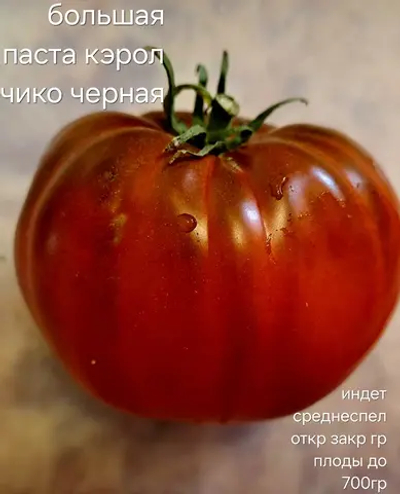 БОЛЬШАЯ ЧЕРНАЯ ПАСТА КЕРОЛ ЧИКО