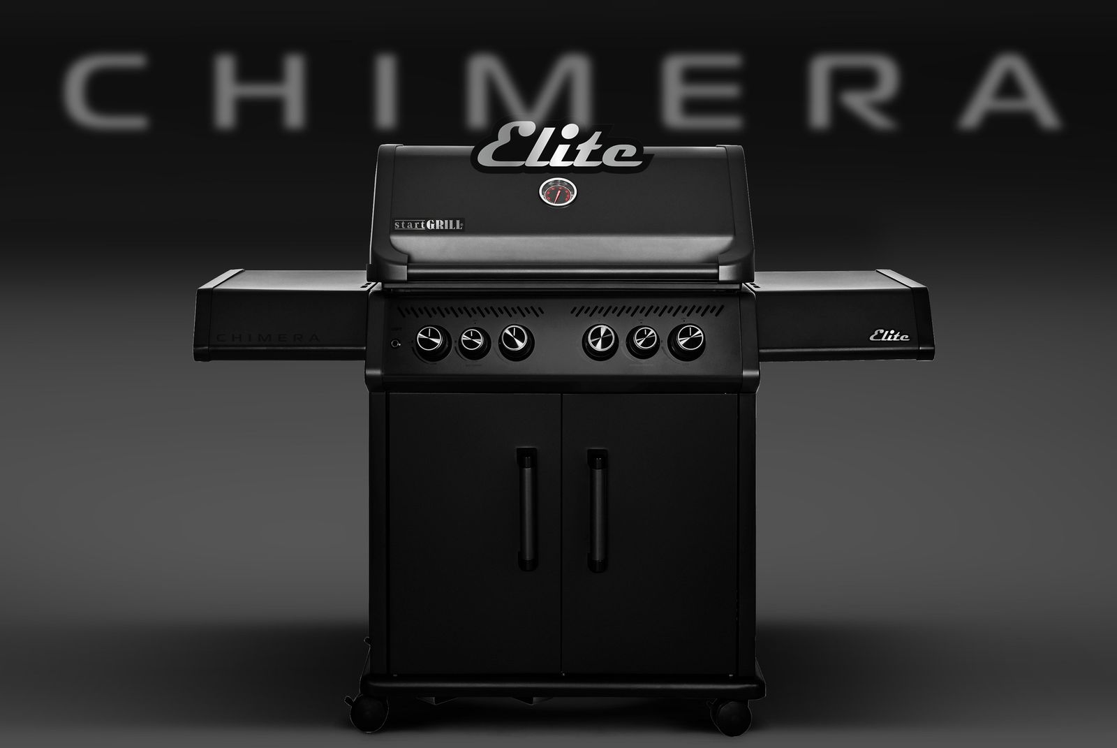 Газовый гриль 4+2 горелки фото №33