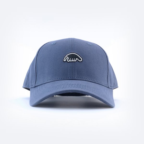 Кепка Anteater Baseball (navy) артикул: - купить в магазине Дайс