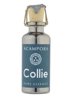 Bruno Acampora Collie Pure Essence