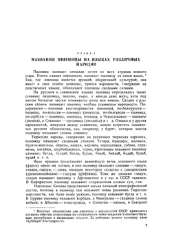 Пшеницы | Фляксбергер Константин Андреевич