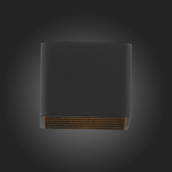 Настенный светильник ST-Luce SL455.041.01