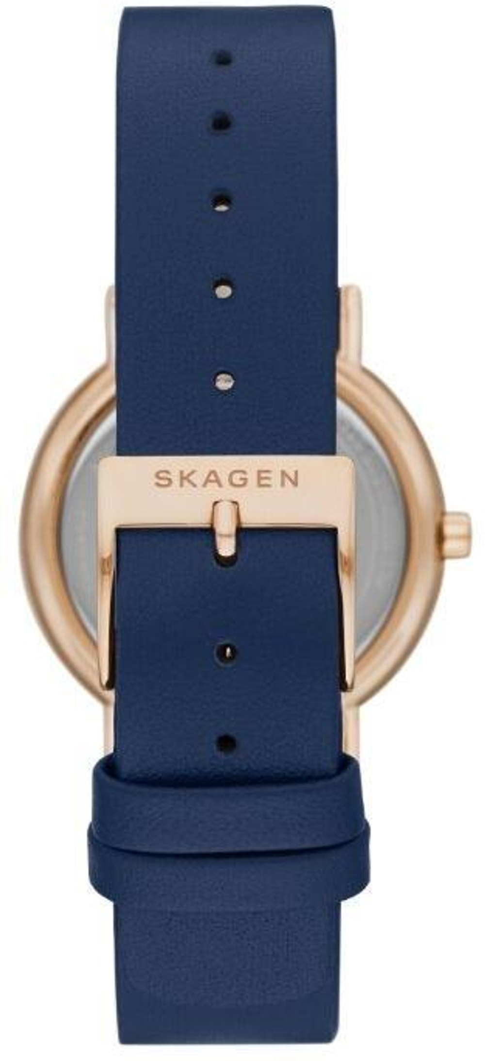 Женские наручные часы Skagen SKW2838