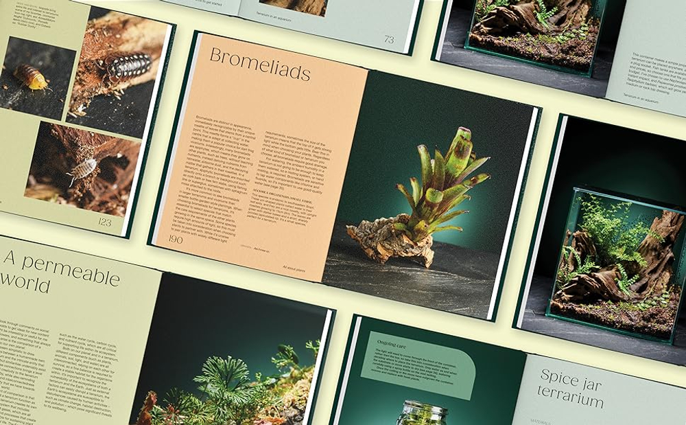 Hello Tiny World: An Enchanting Journey into the World of Creating Terrariums
