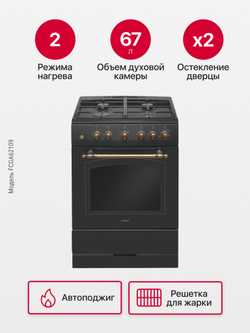 Газовая плита Hansa FCGA62109