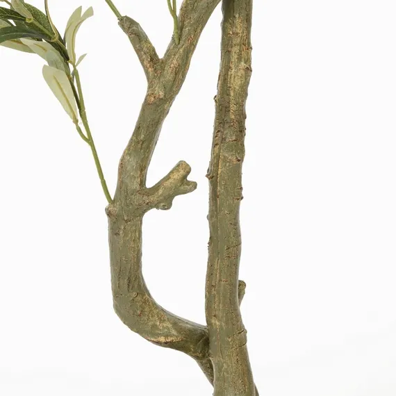 Оливковое дерево высота 172 см