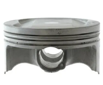 Поршень Yamaha 8GL116310000