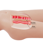 Телесный мастурбатор-торс Mia (Цвет: телесный)