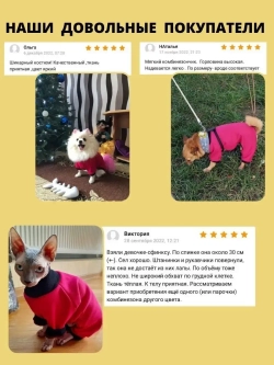 Комбинезон для собак кошек сфинкс кофта костюм для животных