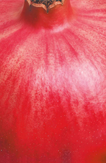 Новинки 14.04.26