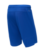 Шорты баскетбольные PerformDry Division Star, синий