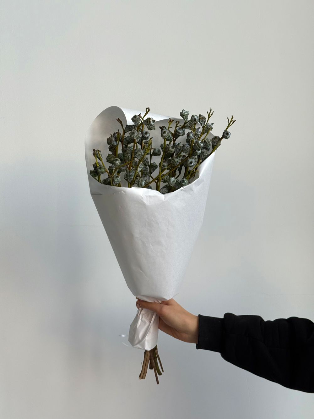 Охапка эвкалипта глобулус 5 шт