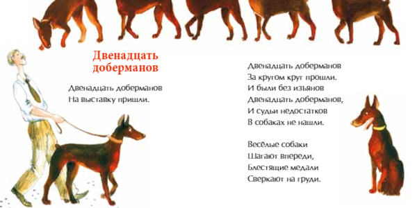 День рождения собаки