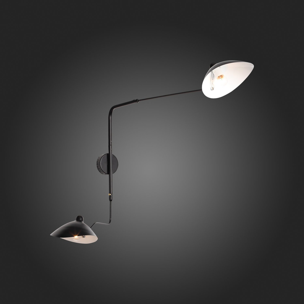 Светильник настенный ST Luce Spruzzo SL305.401.02