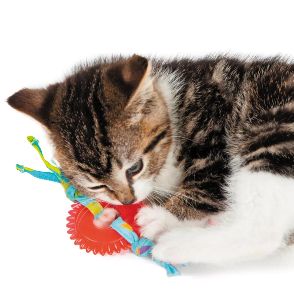 PETSTAGES Dental Игрушка для кошек ОРКА колесико