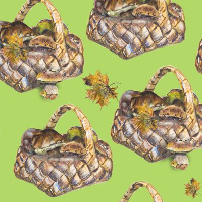 Грибы в  корзинке на нежно-зеленом фоне