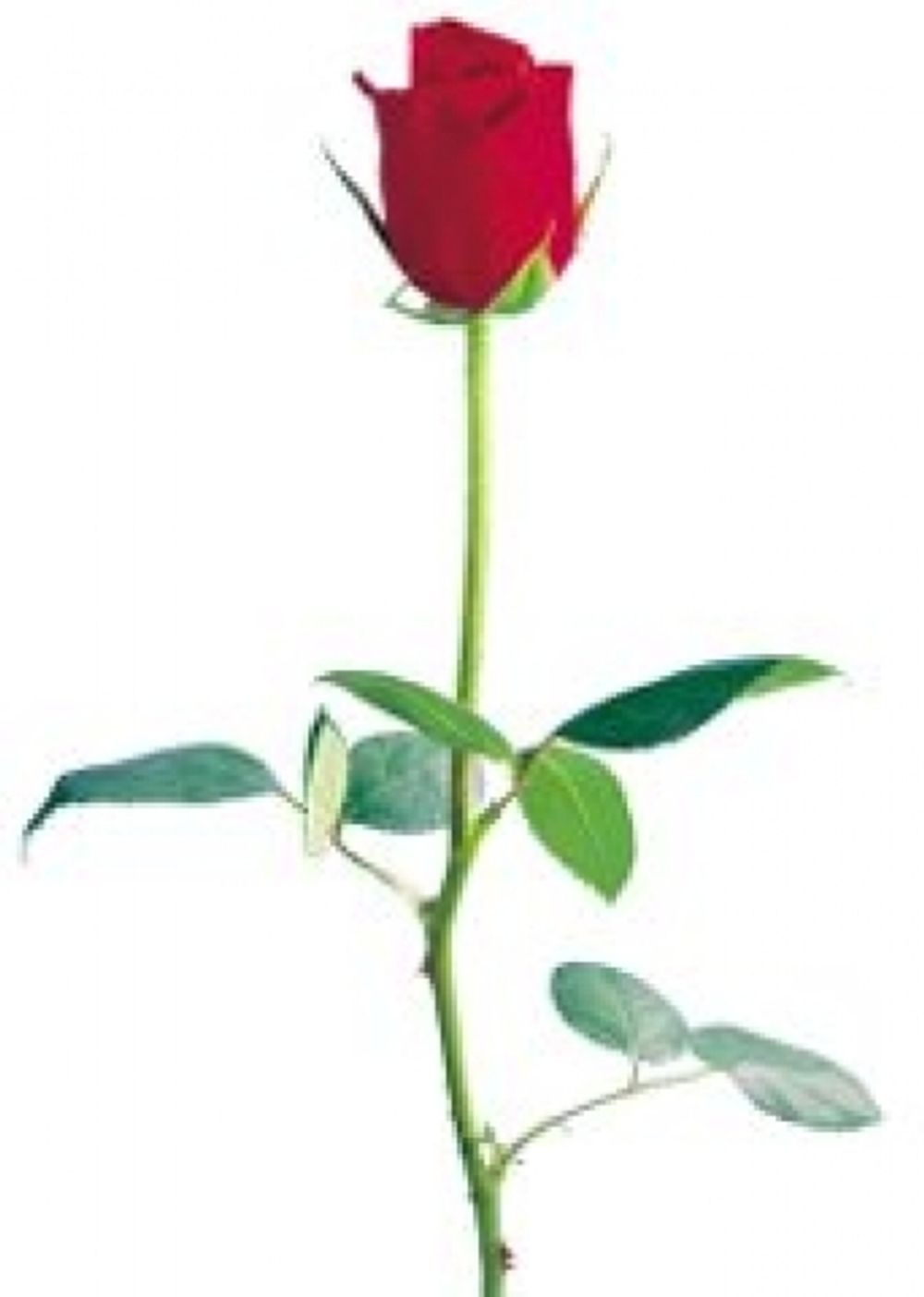 12 достойных ароматов выставлены в музее.