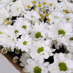 ХИТ Букет с полевыми ромашками и хризантемой