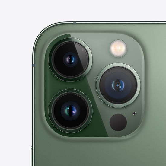 Apple iPhone 13 Pro Max 256GB Alpine Green (Альпийский зелёный)