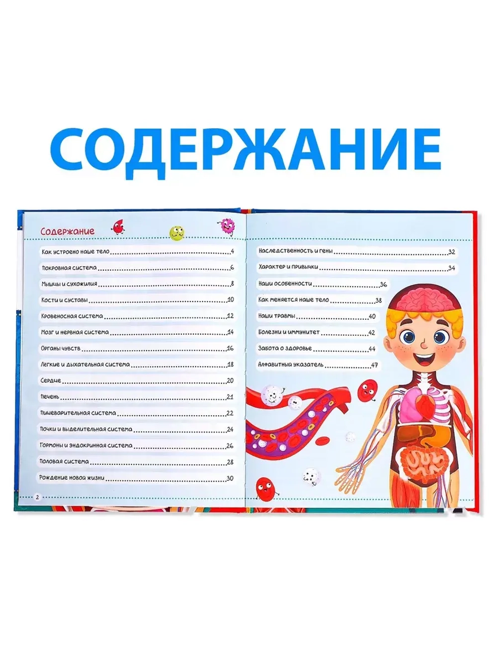 Энциклопедия в твёрдом переплёте Тело человека