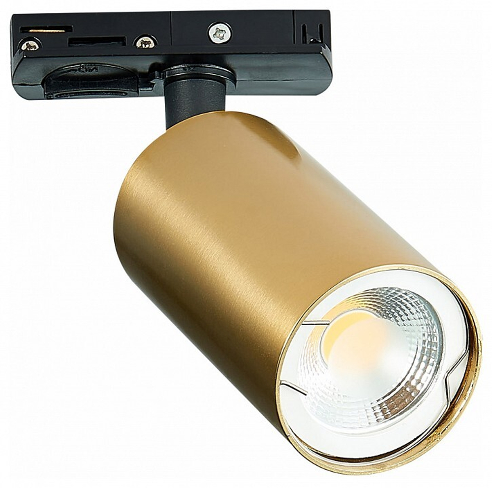 Светильник на штанге ST-Luce ST300 ST300.206.01
