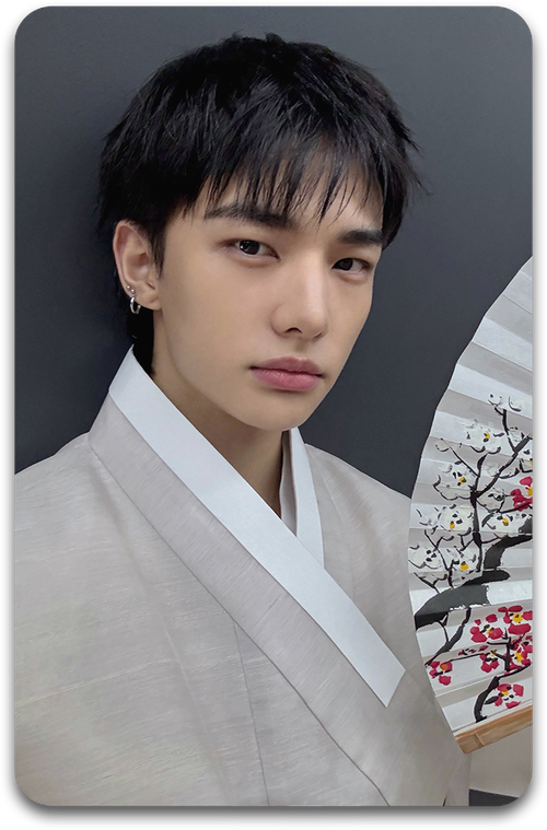 Карта / STRAY KIDS #4742