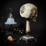 Шкатулка «Череп человека»