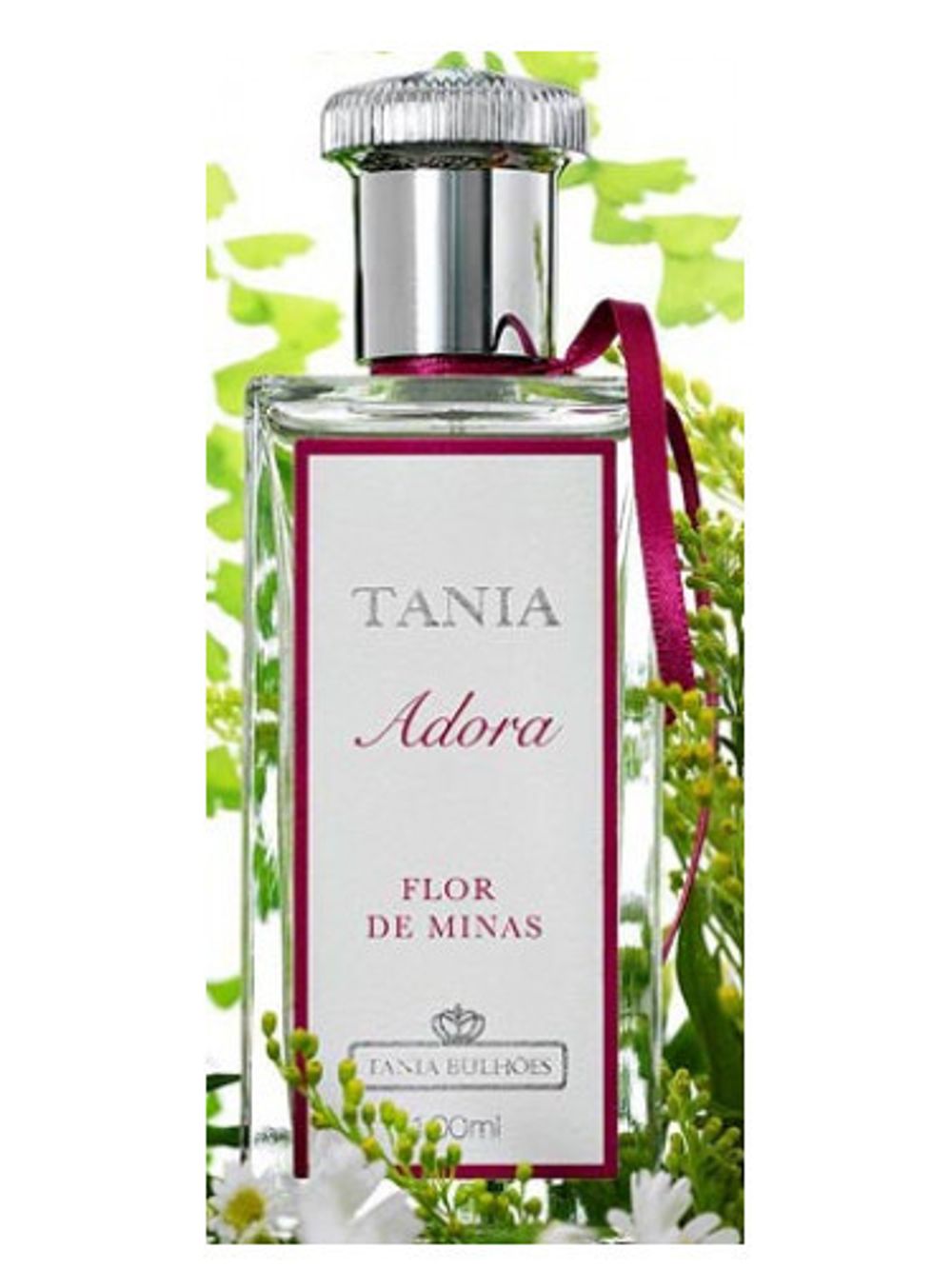 Tania Bulhoes Flor de Minas