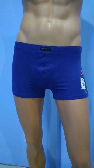 Шорты мужские ATLANTIC MH-1653