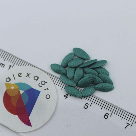 4097 F1 семена огурца Seminis отзывы