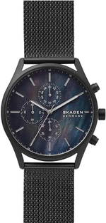 Мужские наручные часы Skagen SKW6651