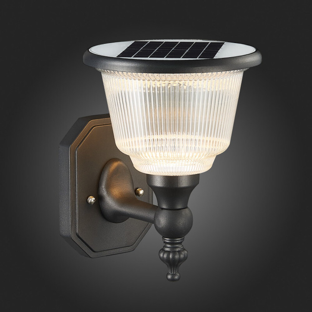 Уличный настенный светильник ST-Luce SL9502.401.01