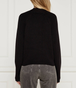 Полуводолазка Tommy Jeans - черный(DW0DW19912)