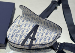 Christian Dior Saddle 26 cm