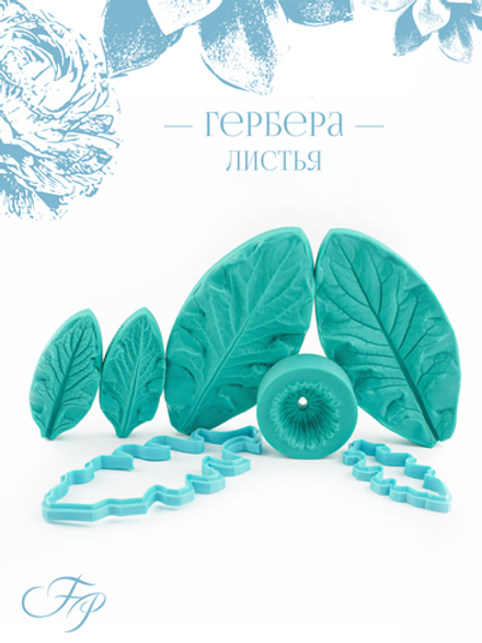 Гербера листья