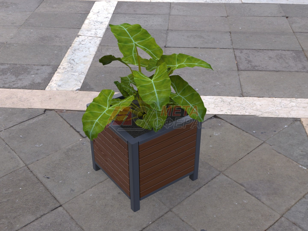 Вазон Визави S