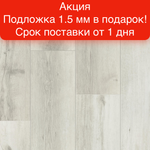 Замковая SPC-плитка Tarkett Blackwood