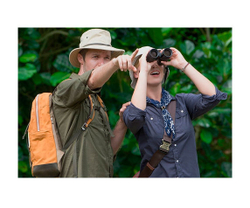 смотрят в бинокль nikon monarch