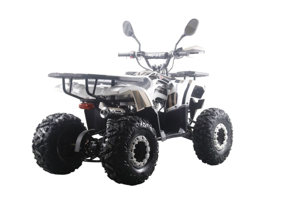 Квадроцикл MOTAX ATV Grizlik Premium 125