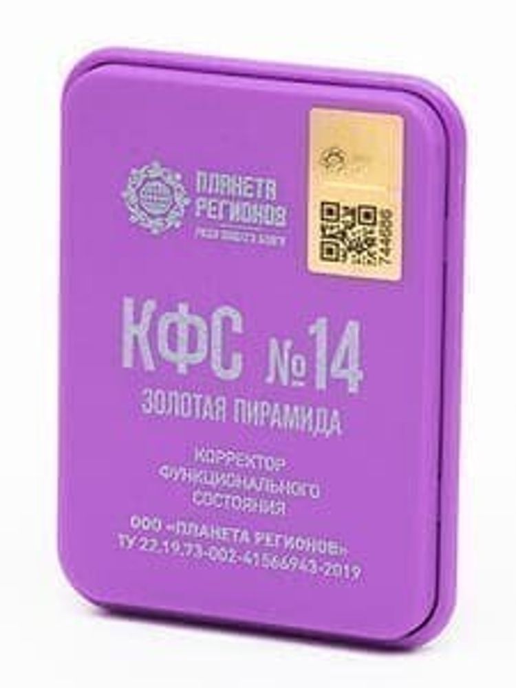 КФС №13 (здоровый интеллект)