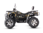 Квадроцикл MOTAX Grizlik 300