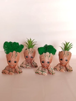 Кашпо органайзер Грут с суккулентом