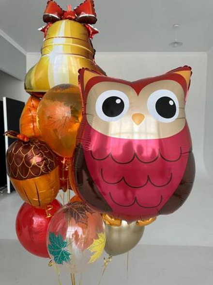 Набор шаров "Сова знаний"