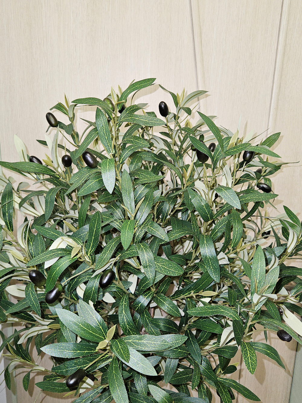 Дерево Олива шар 130см в кашпо