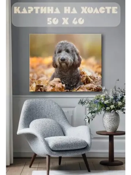 Картина на стену 40 X 50 Собака осень