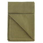 Набор из двух салфеток сервировочных из хлопка оливкового цвета из коллекции essential, 45х45 см